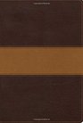 CSB Disciple's Study Bible Brown/Tan LeatherTouch
