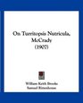 On Turritopsis Nutricula McCrady