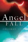 Angel Fall A Novel