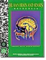 Delta Education Human Brain And Senses Resources  Grades 68