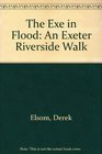 The Exe in Flood