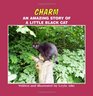 Charm: An Amazing Story of a Little Black Cat