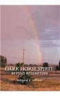 Dark Horse Spirit Beyond Redemption