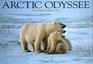 Arctic Odyssee
