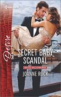 Secret Baby Scandal (Bayou Billionaires, Bk 4) (Harlequin Desire, No 2445)