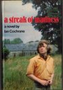 A streak of madness A novel