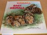 A Picture Book of Baby Animals