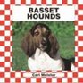 Basset Hounds