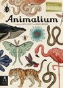 Animalium Jenny Broom