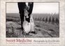 Sweet Medicine Sites of Indian Massacres Battlefields and Treaties