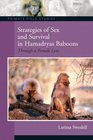 Strategies of Sex and Survival in Hamadryas Baboons Through a Female Lens