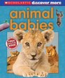 Scholastic Discover More Animal Babies