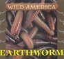 Wild America  Earthworm