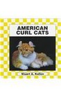 American Curl Cat