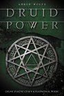 Druid Power Celtic Faerie Craft and Elemental Magic