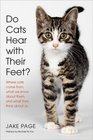 Do Cats Hear with Their Feet Where Cats Come From What We Know About Them and What They Think About Us