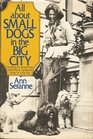 All about small dogs in the big city