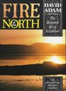 Fire of the North  The Illustrated Life of St Cuthbert