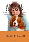 Animal Ghosts How We Can Reach Our Pets In The Hereafter