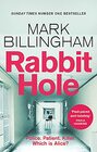Rabbit Hole The new masterpiece from the Sunday Times number one bestseller