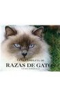 Guia Completa De Razas De Gatos/ Complete Guide of Cat Breeds