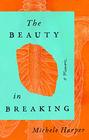 The Beauty in Breaking A Memoir