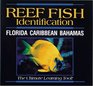 Reef Fish Identification CD ROM