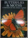 Butterflies and Moths