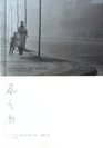 Feng Zhi Ying Simplified Chinese Edition of  The Shadow of the wind