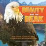 Beauty and the Beak How Science Technology and a 3DPrinted Beak Rescued a Bald Eagle