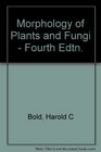 Morphology of plants and fungi