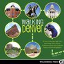 Walking Denver 32 Tours of the Mile High Citys Best Urban Trails Historic Architecture and Cultural Highlights