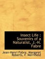 Insect Life Souvenirs of a Naturalist JH Fabre