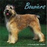 Bouviers 2007 Wall Calendar