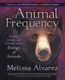 Animal Frequency Identify Attune and Connect to the Energy of Animals