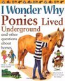 I Wonder Why Ponies Lived Underground: And Other Questions About Horses (I Wonder Why)