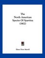 The North American Species Of Spartina