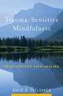 Trauma-Sensitive Mindfulness: Practices for Safe Healing