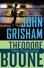 The Fugitive (Theodore Boone, Bk 5)