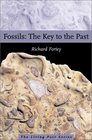Fossils The Key to the Past