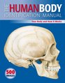 The Human Body Identification Manual Your Body and How It Works