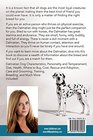 Dalmatians Dalmatian Dog Characteristics Personality and Temperament Diet Health Where to Buy Cost Rescue and Adoption Care and Grooming Training Breeding and Much More Included