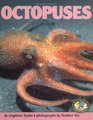 Octopuses (Early Bird Nature Books)