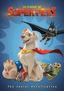 DC League of SuperPets The Junior Novelization  Includes 8page fullcolor insert
