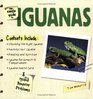 The Simple Guide to Iguanas