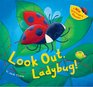 Look Out Ladybug