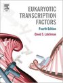 Eukaryotic Transcription Factors