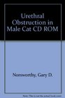 Urethral Obstruction in Male Cats