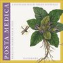 Posta Medica Healing Herbs Old and New  Boxed Postcard Set