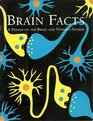 Brain Facts A Primer on the Brain and Nervous System